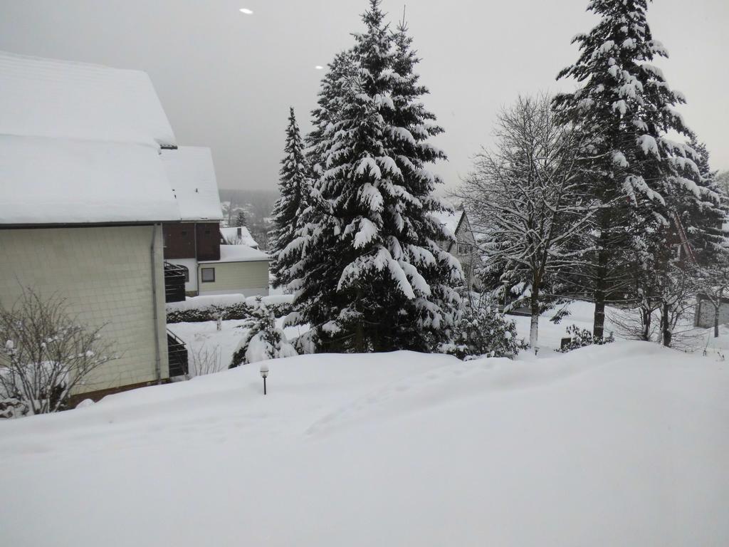 Schröder - Harzpur - Harzzeit